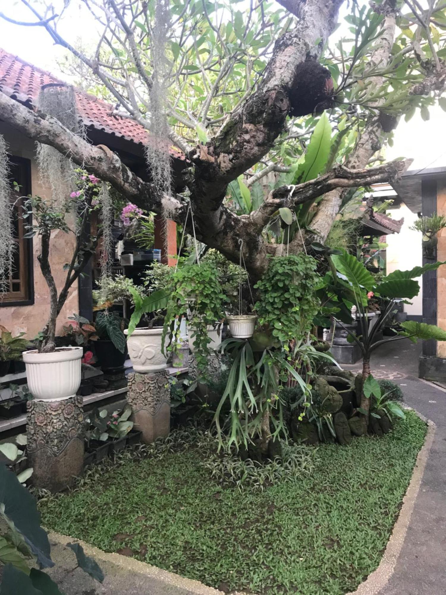 אובוד Gus Arditya Homestay מראה חיצוני תמונה