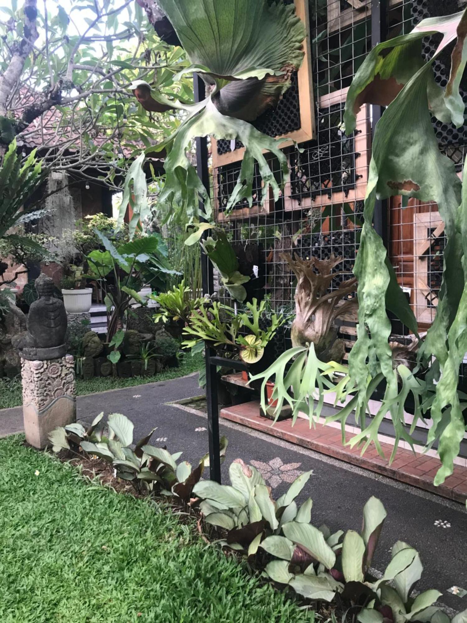 אובוד Gus Arditya Homestay מראה חיצוני תמונה