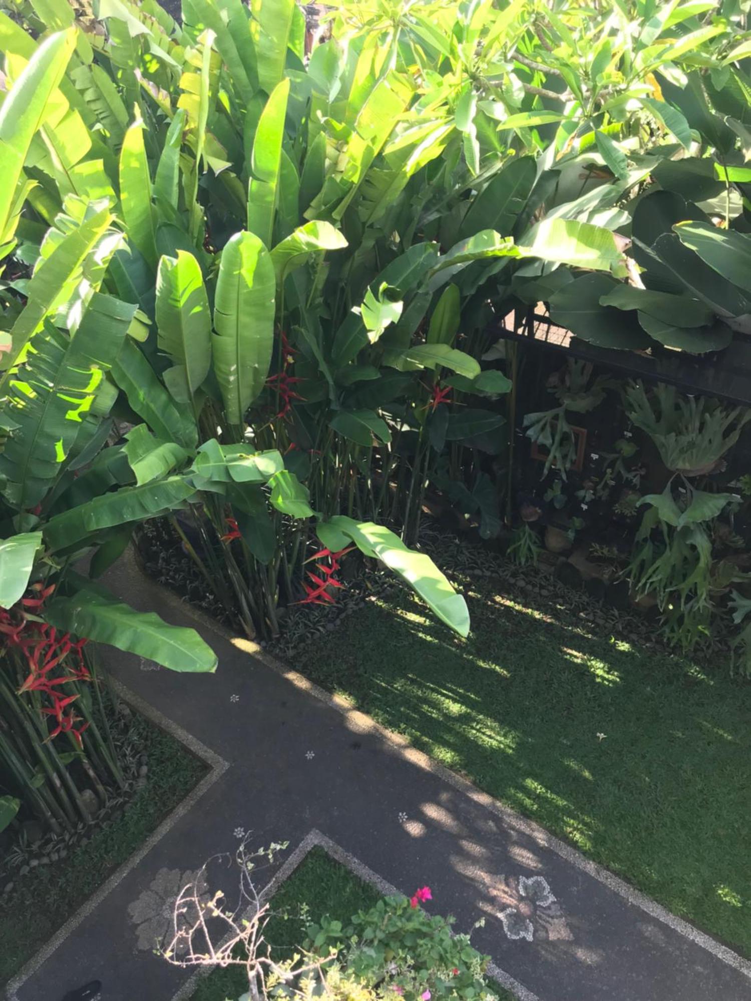 אובוד Gus Arditya Homestay מראה חיצוני תמונה