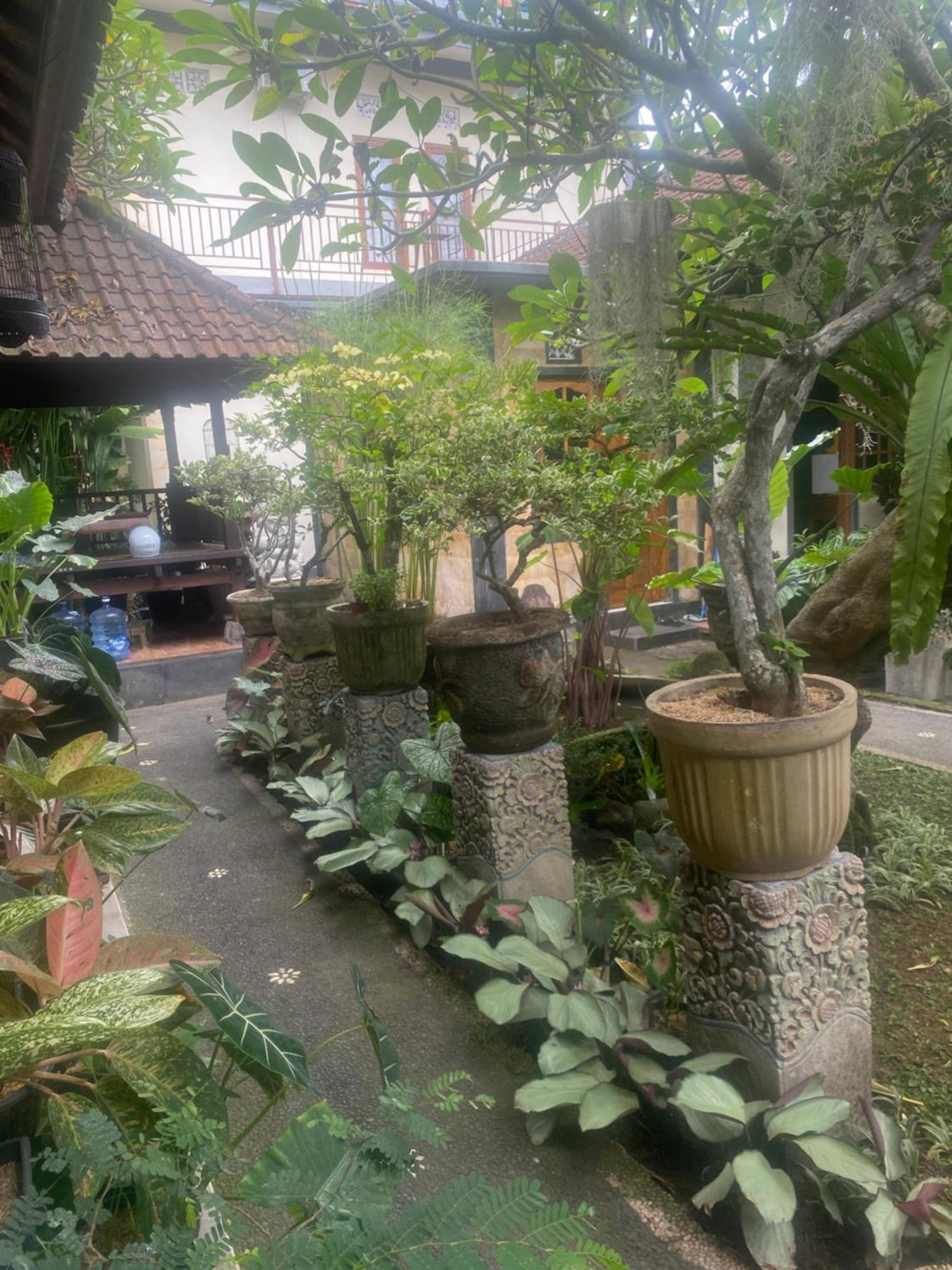 אובוד Gus Arditya Homestay מראה חיצוני תמונה