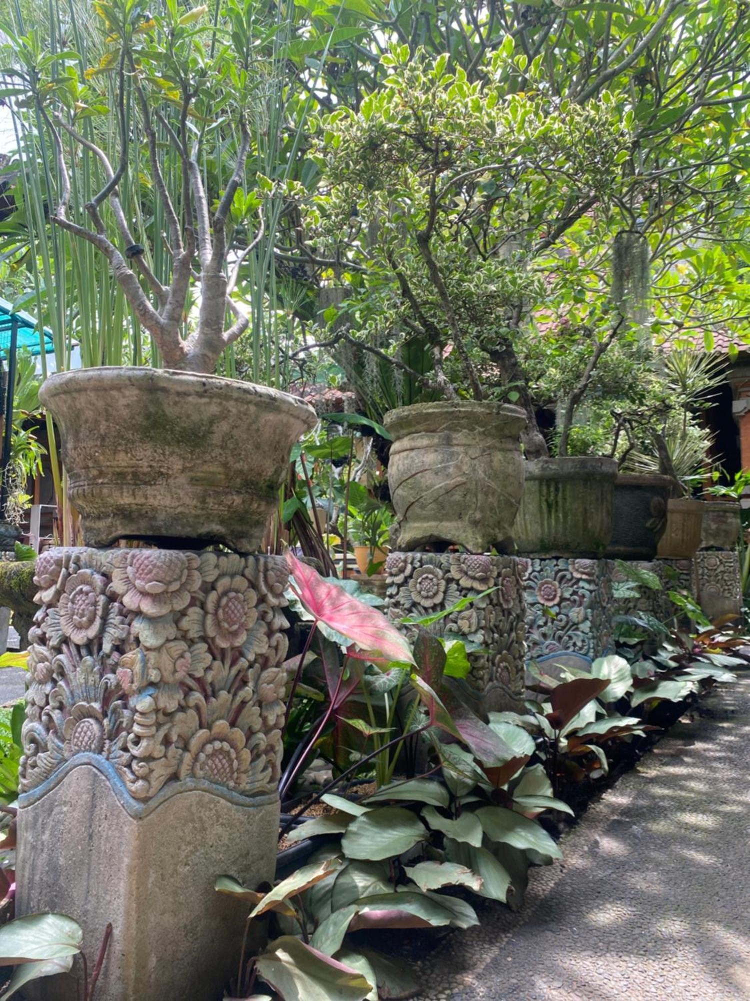 אובוד Gus Arditya Homestay מראה חיצוני תמונה