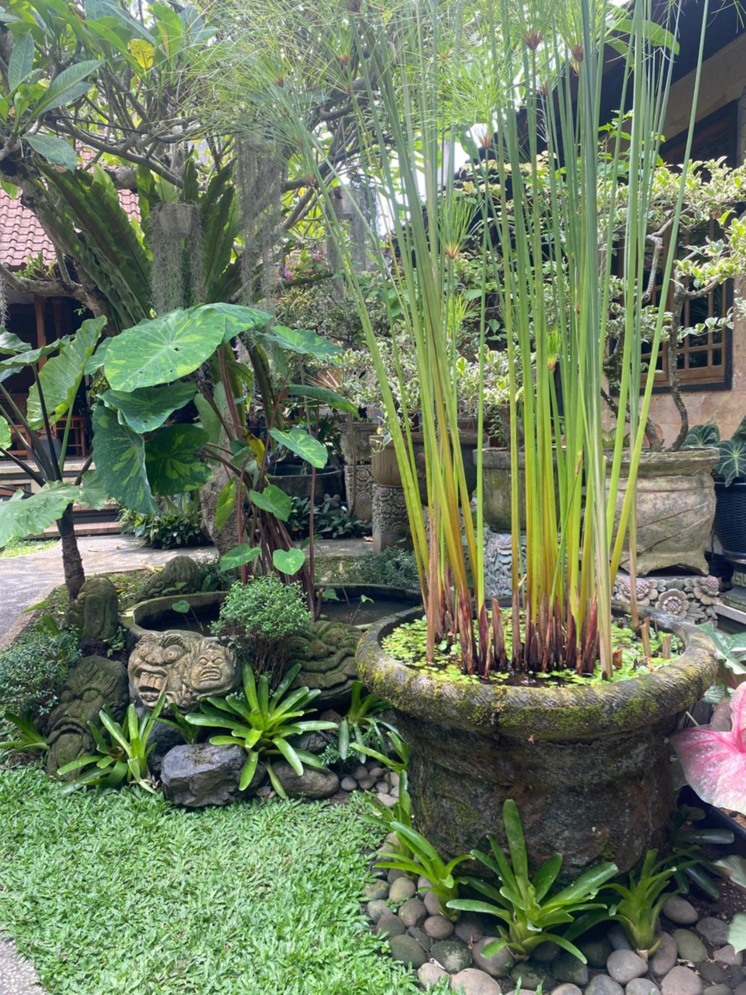 אובוד Gus Arditya Homestay מראה חיצוני תמונה