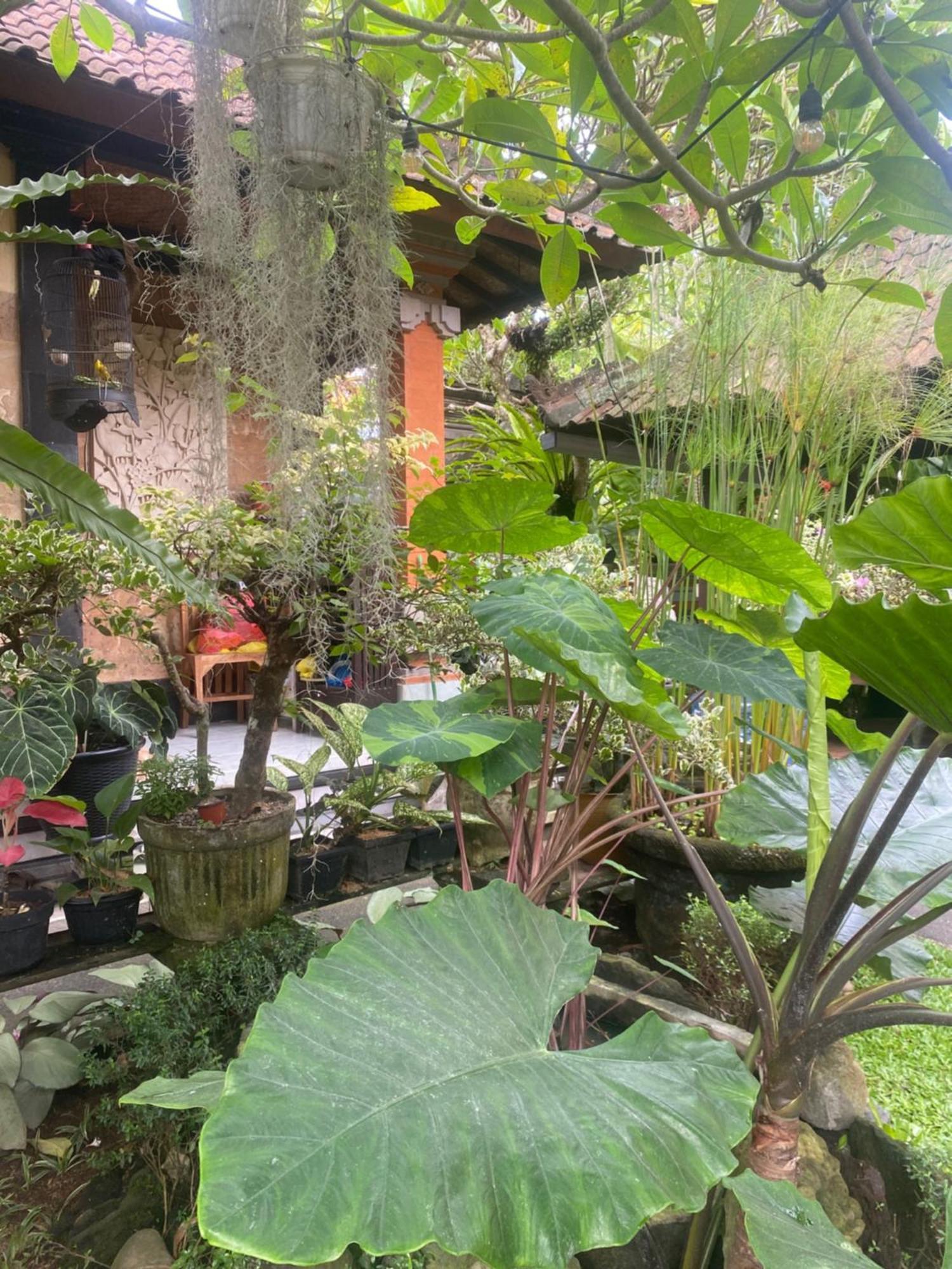 אובוד Gus Arditya Homestay מראה חיצוני תמונה