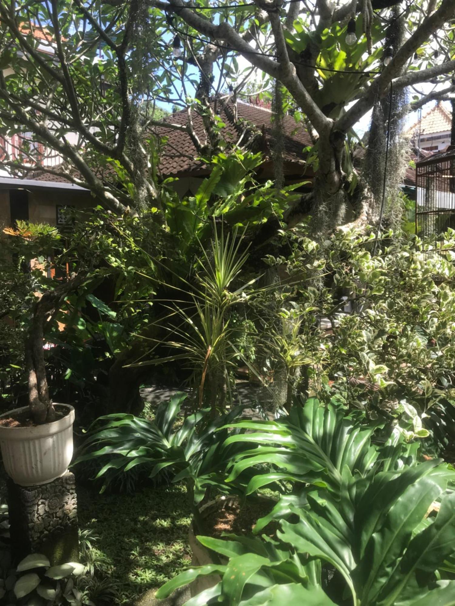 אובוד Gus Arditya Homestay מראה חיצוני תמונה